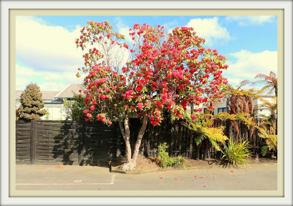 Victoria Lodge Rotorua Luaran gambar